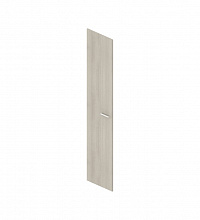 Дверь высокая глухая